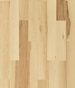 Hard Maple Summer